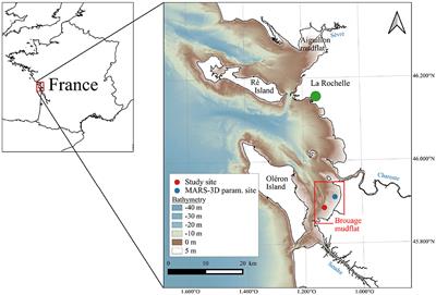 Mapping the Intertidal Microphytobenthos Gross Primary Production, Part II: Merging Remote Sensing and Physical-Biological Coupled Modeling